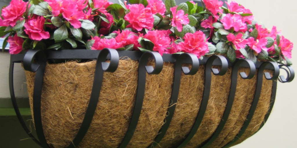 Here Are a Few Window Box Ideas That Can Boost the Appearance of Any Garden