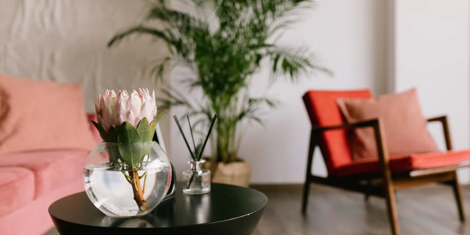 Improve the Appearance of a Home With Houseplants and Decorative Ideas