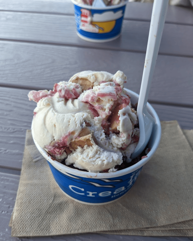 The 20+ Best Ice Cream You Can Find in Every State