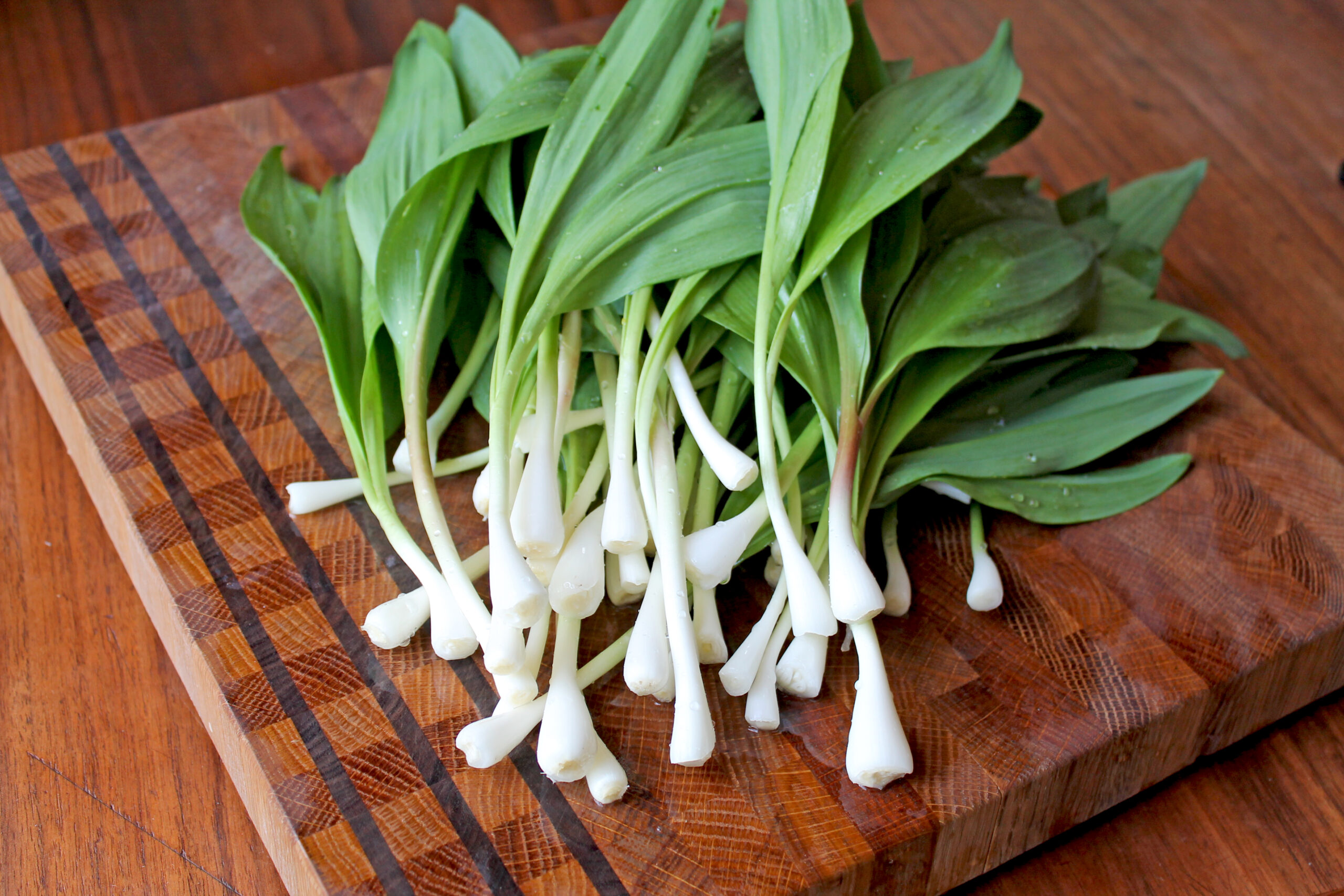 What Are Ramps and How to Best Prepare Them for the Next Meal