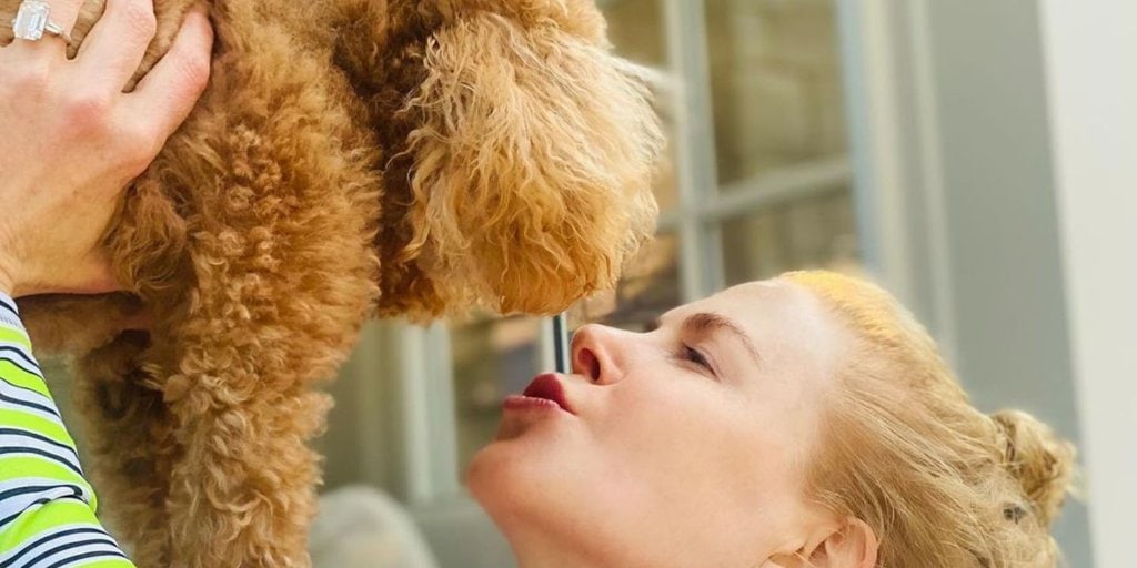 Take a Look at Nicole Kidman’s Adorable Poodle Julian Behind the Wheel